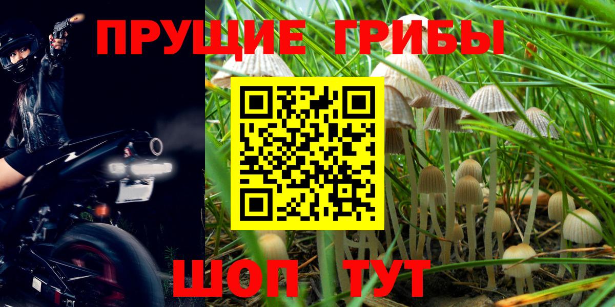 Галлюциногенные грибы мицелий  Вход с VPN  Белгород 